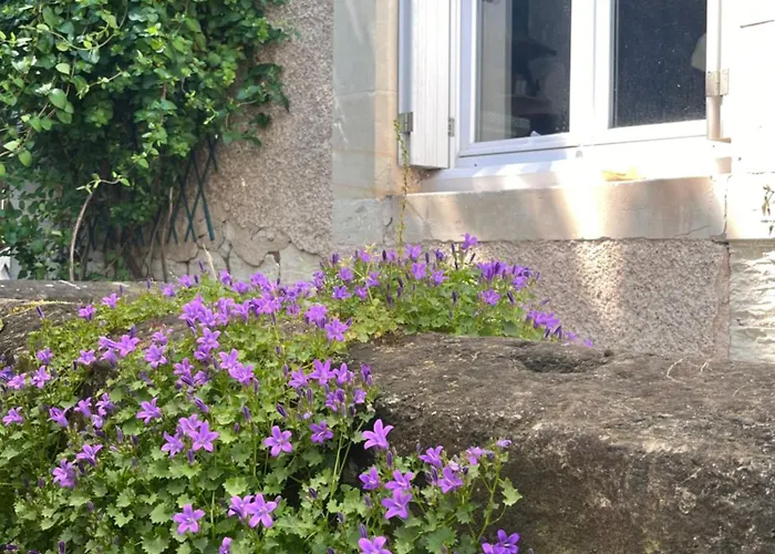 Le Clos Gabrielle Pensión Châtellerault