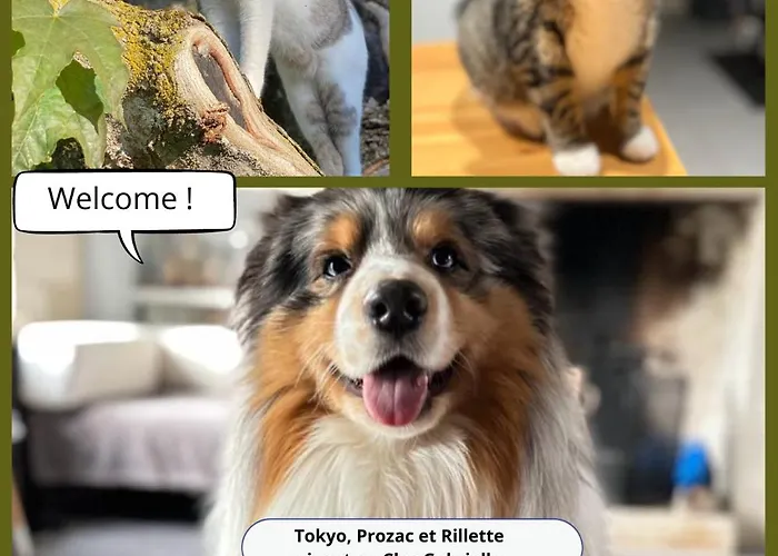 Le Clos Gabrielle Pensión Châtellerault